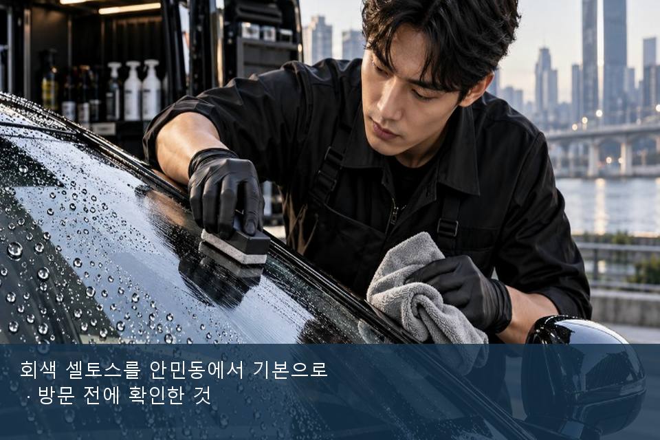 회색 셀토스를 안민동에서 기본으로 · 방문 전에 확인한 것